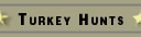 turkey hunts